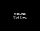 【知る人ぞ知るゲーム名曲】学園KING - Sad Eyes