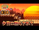 【ペーパーマリオRPG】折れて曲がって丸まって！宝をめぐる大冒険_Part34【実況】