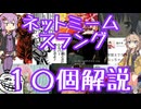 今さら人に聞けないネットのネタ解説その17【結月ゆかり×春日部つむぎ】