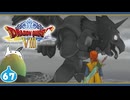 【DQ8＊実況】これが現状最後の初見で大冒険！第六十七章
