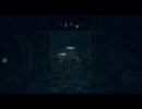 #15【ELDEN RING】お宝発見！【エルデンリング初見実況】