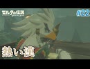 【ゼルダの伝説BotW】初めてのブレワイ！折れない心で未知の世界へ！#22【実況】