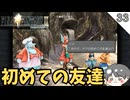 【FF9】あの子、ボクの初めての友達なの #33 【FINAL FANTASY IX（ファイナルファンタジー9）-のりたまゲーム実況】