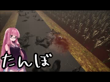【ボイスロイド実況】琴葉茜と犬と散歩に行く夜 後半 【たんぼ】