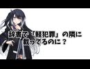 本当にアリアルさん？　＃３