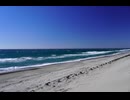 【初音ミク】海へ行こう