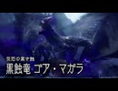 アカネちゃんの特別討究　ゴアマガラ