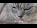 【ピアノ】堀下さゆり　またり曲集【癒し】