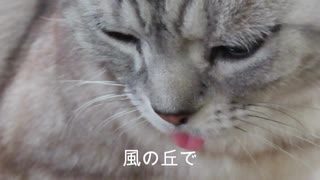 【ピアノ】堀下さゆり　またり曲集【癒し】