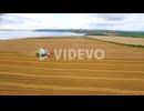 Drone footage of golden fields and combine harvester