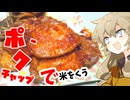 甘酸っぱーいポークチャップ風と山盛りななつぼしでつむぎとひまりはごはん部