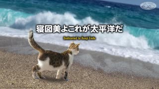 寝図美よこれが太平洋だ / Nezumi, That's the Pacific Ocean!! - 遠藤賢司 cover/耳コピ再現してみた