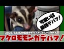 【 #おつモモンガ 】【 #睡眠用 #勉強用 #作業用BGM 】フクロモモンガデバフ！可愛いけどスマホやキーボード弄らないで！【2025/02/02】