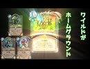 アドバイスが欲しいです（ワイルド環境）