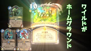 アドバイスが欲しいです（ワイルド環境）