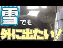 だから雪 降ってるってば…