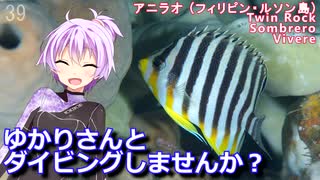 【アニラオ/ルソン島(フィリピン)】ゆかりさんとダイビングしませんか？
