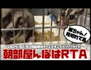 【 #おつモモンガ 】【 #睡眠用 #勉強用 #作業用BGM 】多頭飼いの朝の飼い方はRTA！早くしないと寝ちゃってしまう！【2025/02/03】