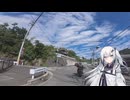 Insta360にナンバープレートぼかしが使えるようになったので使用してみた感想その2 Ace Pro