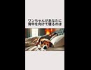 ワンちゃんがあなたに背中を向けて寝るのは・・・