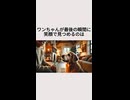 ワンちゃんが最後の瞬間笑顔で見つめるのは・・・
