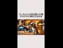 ワンちゃんが水を飲んだあと、ゲホゲホと咳をするのは・・・