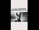 ワンちゃんが見る世界は白黒の世界と言われているが・・・
