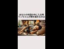 あなたの布団の中に入るときワンちゃんが顔を舐めるのは・・・