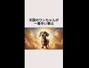 天国のワンちゃんが一番辛いことは・・・