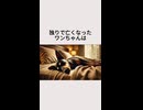 独りで亡くなったワンちゃんは・・・