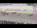 2025年2月4日川崎競馬9R イスターチャレンジ(C2) シンメロワン