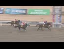 2025年2月4日川崎競馬11R ヴィクトリーチャレンジ(B3) ヴィブエアー