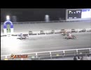 2025年2月4日高知競馬9R 新荘川特別(B-1組) スマートダンディー
