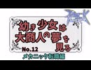 【RO】幼き少女は大商人の夢を見る【12】メカニック転職編