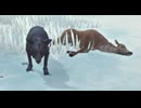 【ゆっくり実況プレイ】その鹿は私のものだああああああ part2【The Long Dark】