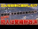 20250129_【この陥没事故の根本的要因は日本政府や各自治体の緊縮財政派】埼玉県八潮市・県道松戸草加線中央一丁目交差点（住所：二丁目487付近）←現地に突撃取材決行！