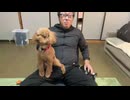 【３時ニコ生録画】2024/11/03 08:00 ドライブ＆酒雑配信 その①