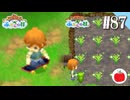 【実況】牧場物語 ふたごの村・ふたごの村＋を交互に初見で遊ぶいも【#87】