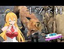 ゆかりさん仕事を辞めたので北へ行く 5日目