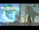 『11種の縛りプレイ』ノーダメージで空魚の島の秘密に苦悩する全裸リンク＃10【ゼルダの伝説ティアーズオブザキングダム/ゆっくり実況】