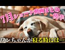 7月ショート動画まとめ後半