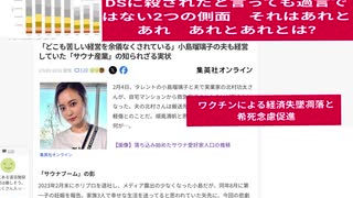 小島瑠璃子の夫　北村功太さんDSに殺されたと言っても過言ではない2つの側面　それはあれとあれ　あれとあれとは?