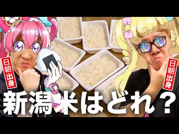 【利き米バトル】新潟県産のコシヒカリを当てられなかったら予選敗退！【和実VS夢川】