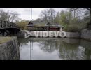 Ceremony tea house by the pond and bridge in the Japanese garden1