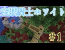 【空賊】騎士ホワイトと厳しいギャル#1【BMC4】