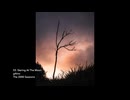 03. Staring At The Moon (Music Video) / gAIno / The 2000 Sessions