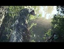 【MHW】初見回復縛り＋αでMHWをいまさら始める古き良きハンター【part7】