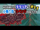 【テラリア】少し行き詰ってきたようです！#11