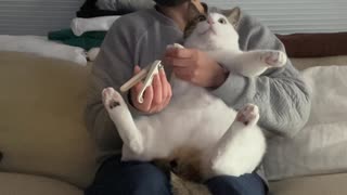 老眼系渾身の爪切り