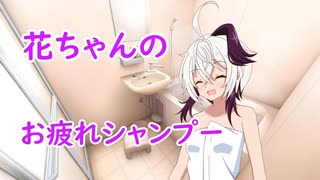 花ちゃんのお疲れシャンプー